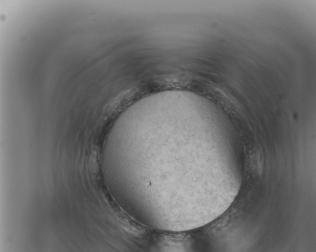 X0000062870757200601201754