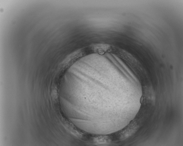 X0000062870761200601201754