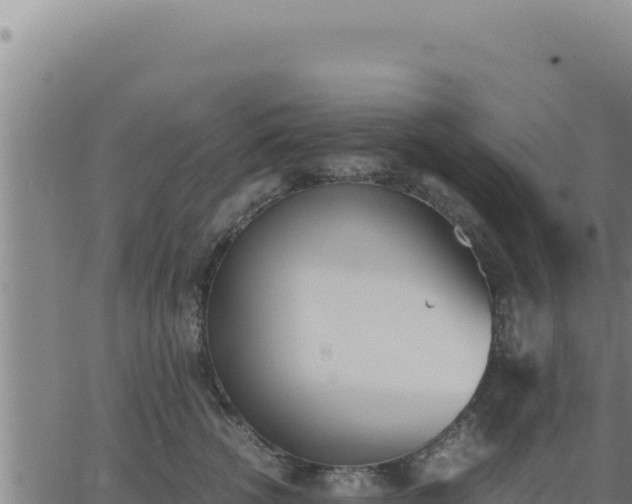 X0000062870762200601201754