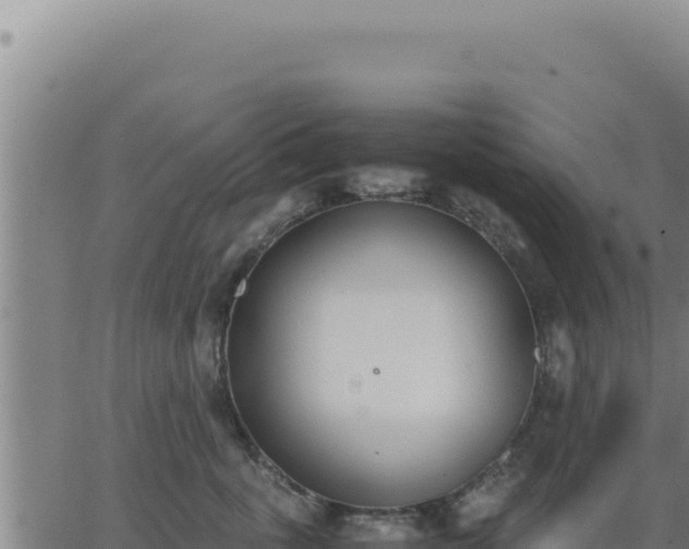 X0000062870763200601201754