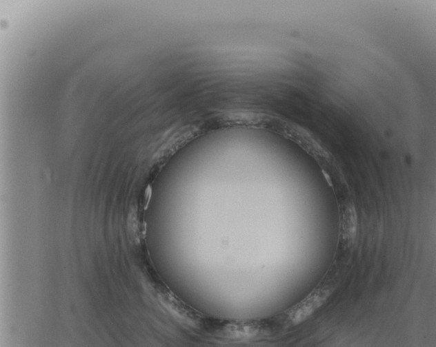 X0000062870764200601201754