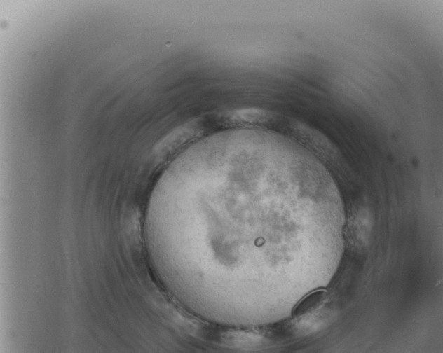 X0000062870765200601201754