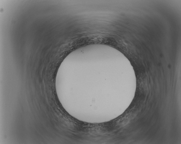 X0000062870769200601201753