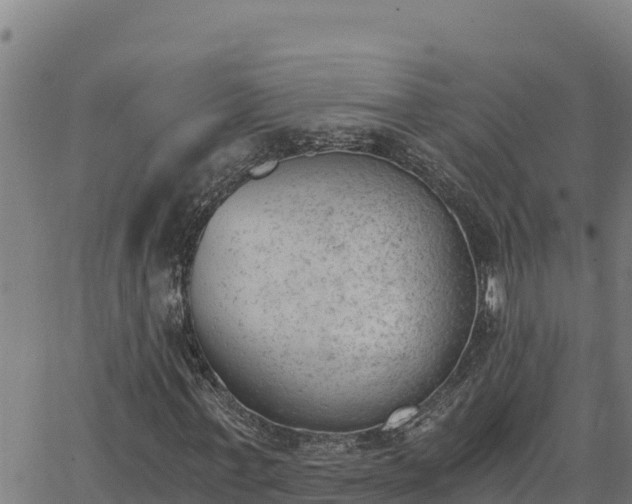 X0000062870771200601201753