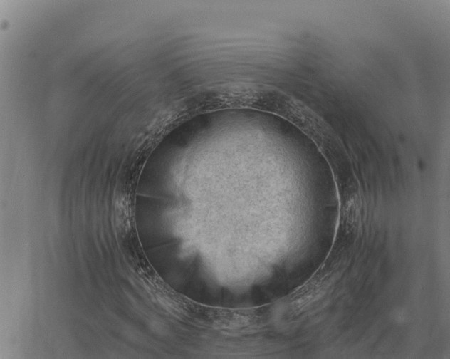 X0000062870772200601201753