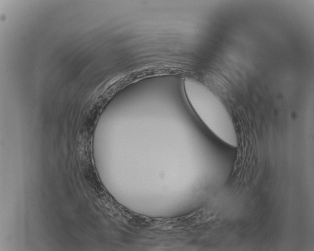 X0000062870773200601201753