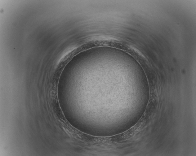 X0000062870775200601201753