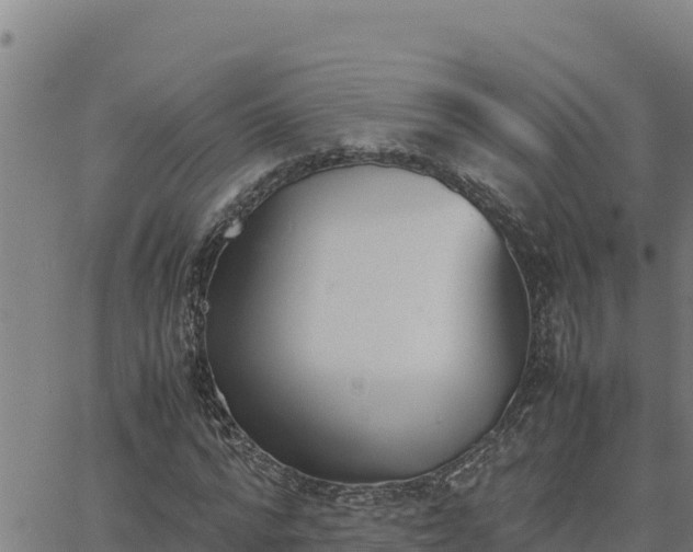 X0000062870776200601201753