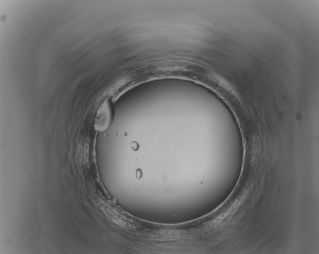 X0000062870777200601201753