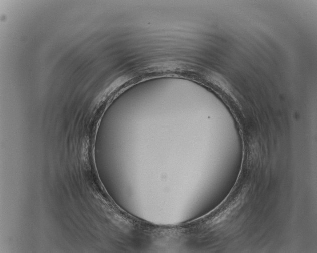 X0000062870778200601201753