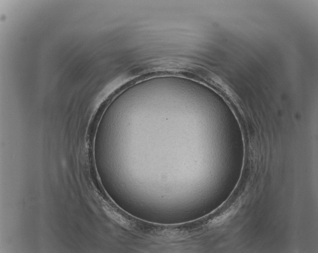 X0000062870779200601201753