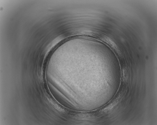 X0000062870780200601201753