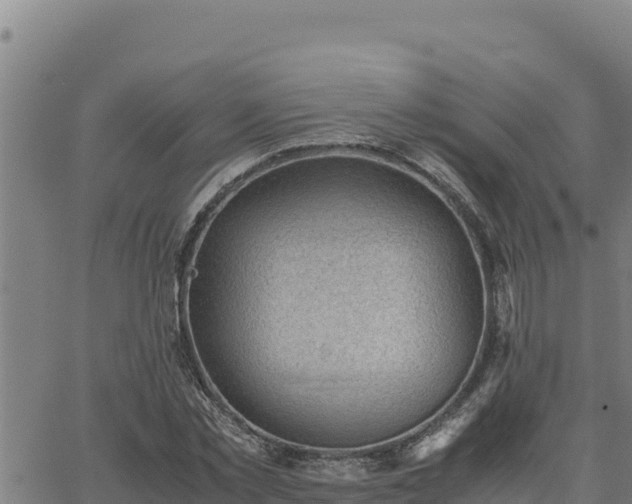 X0000062870781200601201753