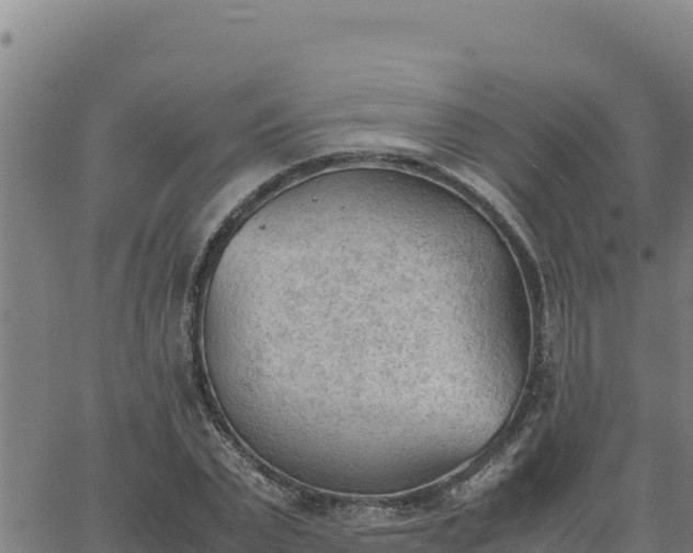 X0000062870783200601201753