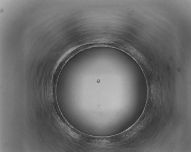 X0000062870784200601201753