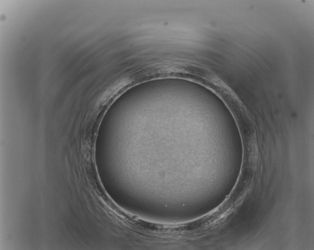 X0000062870785200601201753