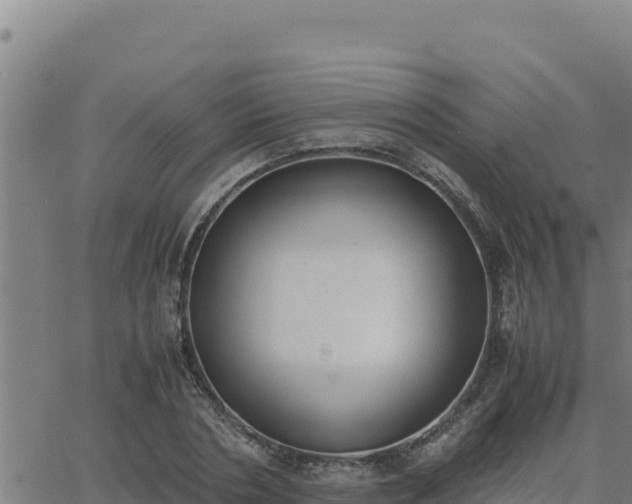 X0000062870786200601201753