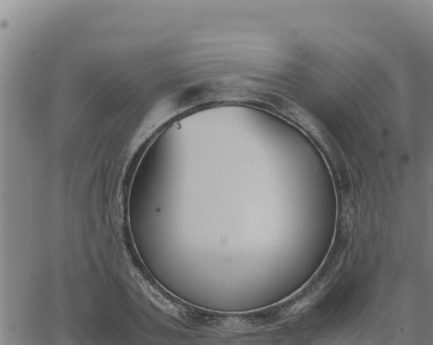 X0000062870787200601201753