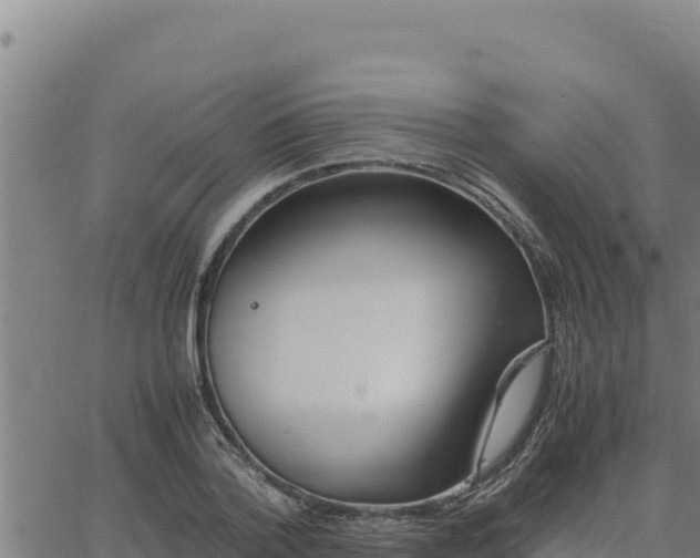 X0000062870788200601201753