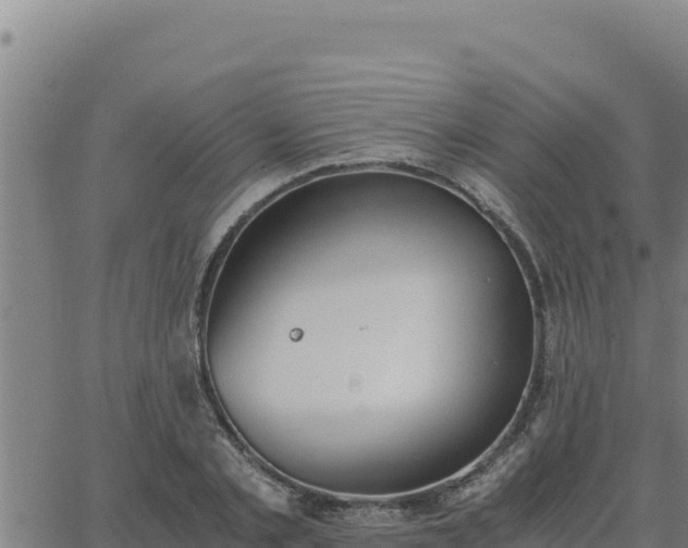 X0000062870789200601201753