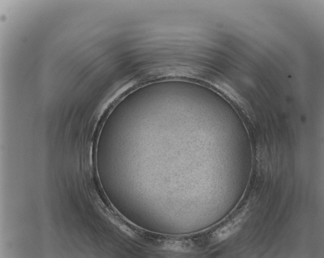 X0000062870790200601201753