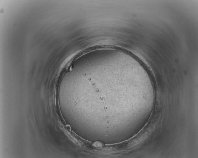 X0000062870791200601201753