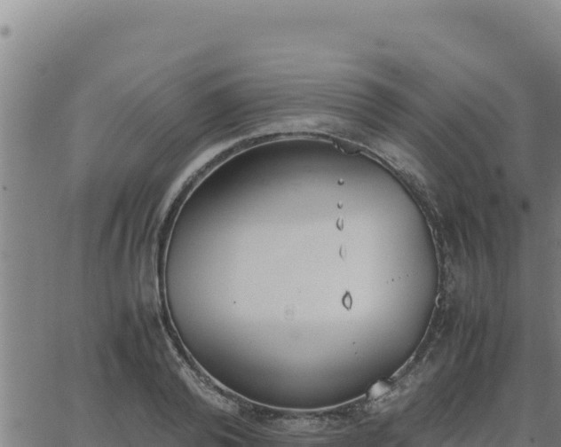 X0000062870792200601201753