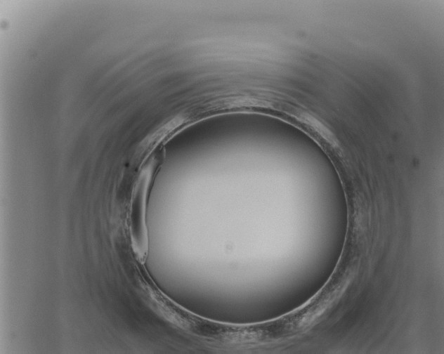 X0000062870793200601201753