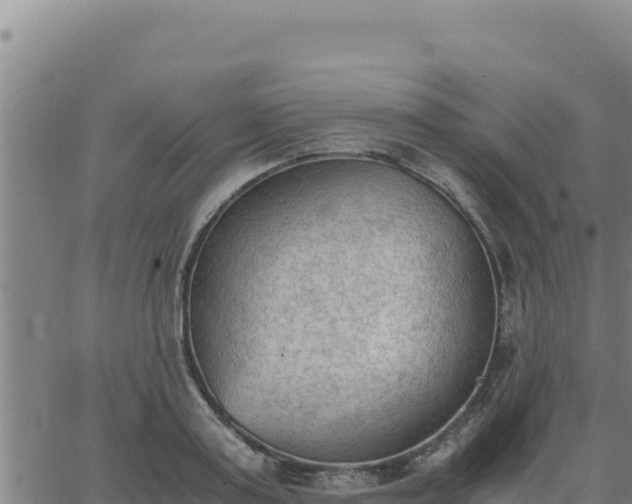 X0000062870795200601201753