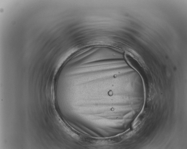 X0000062870796200601201753