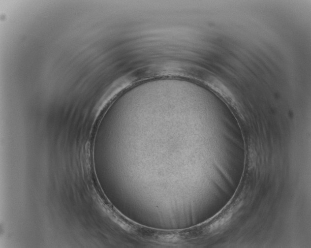 X0000062870798200601201753