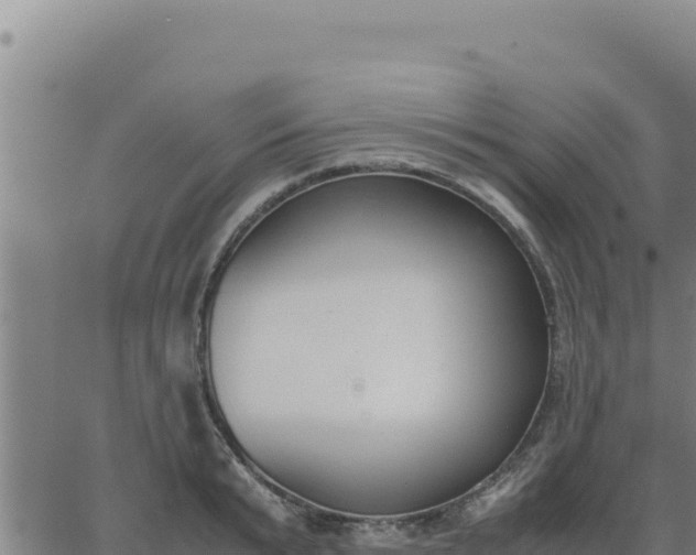 X0000062870799200601201753