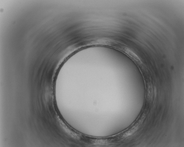 X0000062870800200601201753