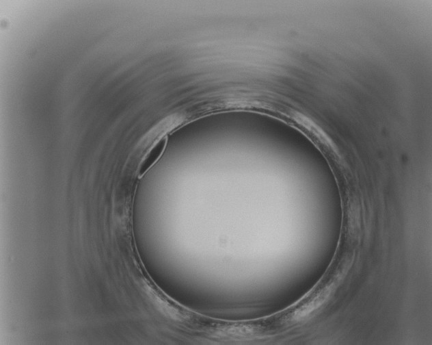 X0000062870801200601201753