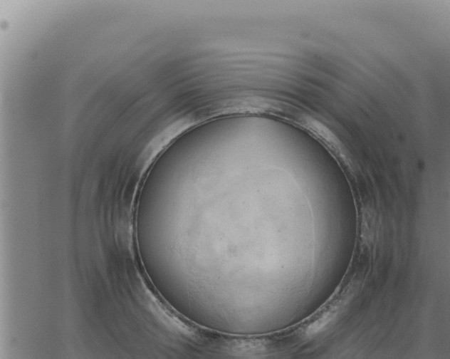 X0000062870802200601201753