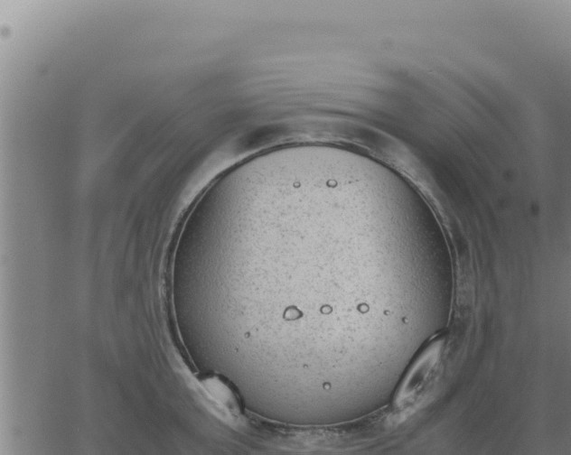 X0000062870803200601201753