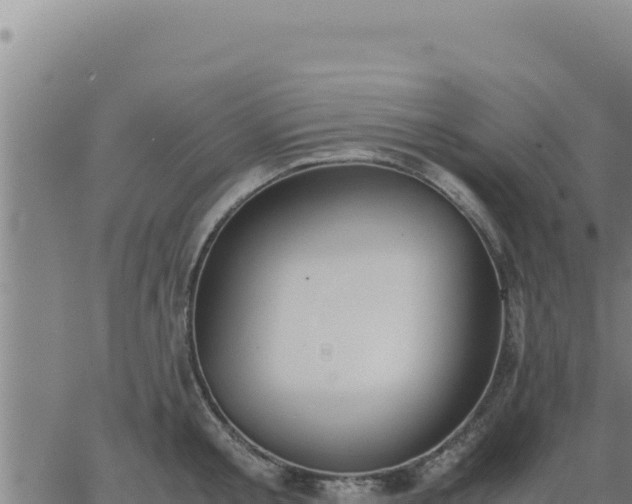 X0000062870805200601201753