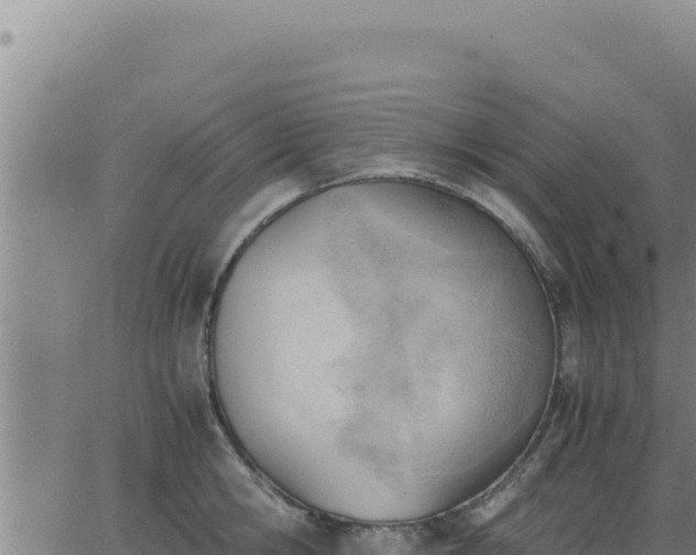 X0000062870806200601201753