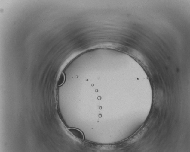 X0000062870808200601201753