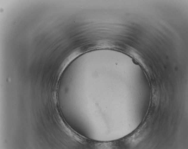 X0000062870810200601201753