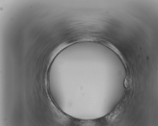 X0000062870811200601201753