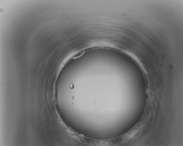 X0000062870815200601201752