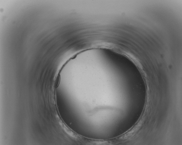 X0000062870816200601201752