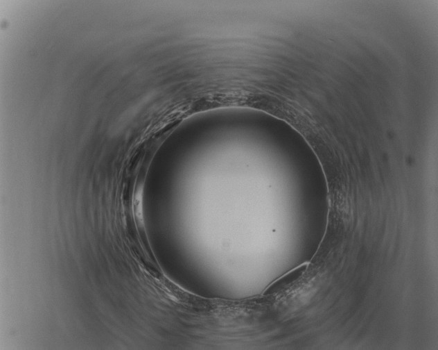 X0000062870818200601201752