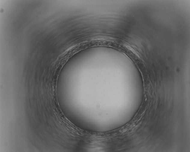 X0000062870821200601201752