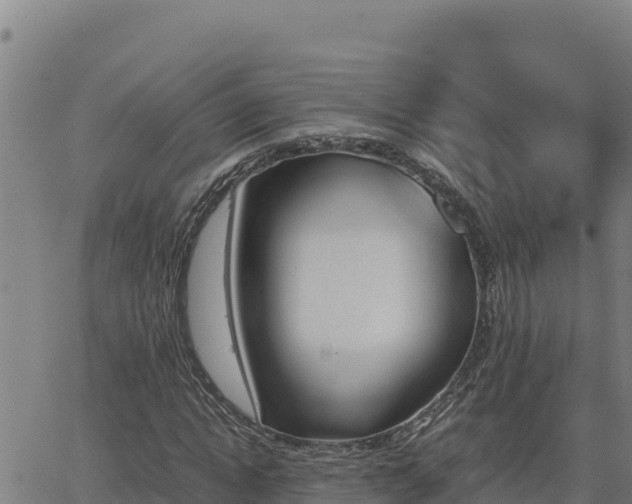 X0000062870822200601201752