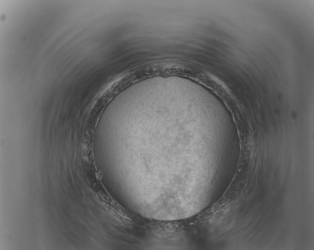 X0000062870823200601201752