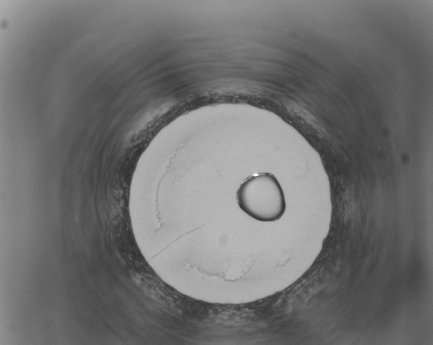 X0000062870824200601201752