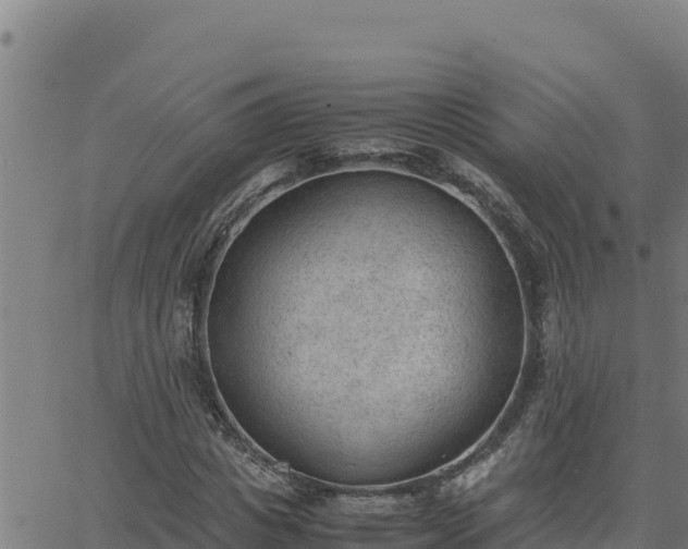 X0000062870825200601201752