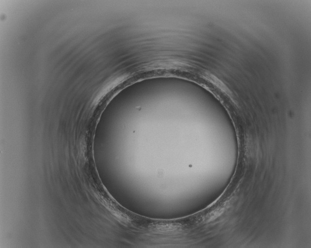 X0000062870826200601201752